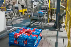 双套全自动机械码包腻子粉生产线HG-2F-A3